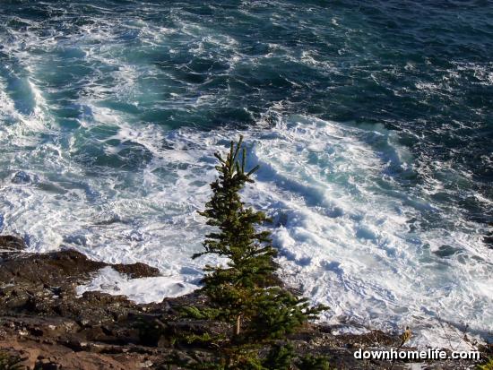 Main Gallery Display