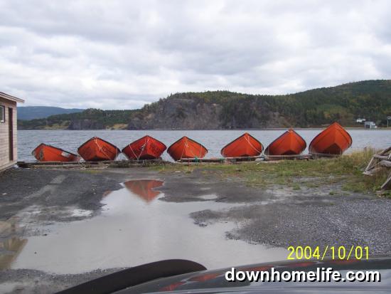 Main Gallery Display