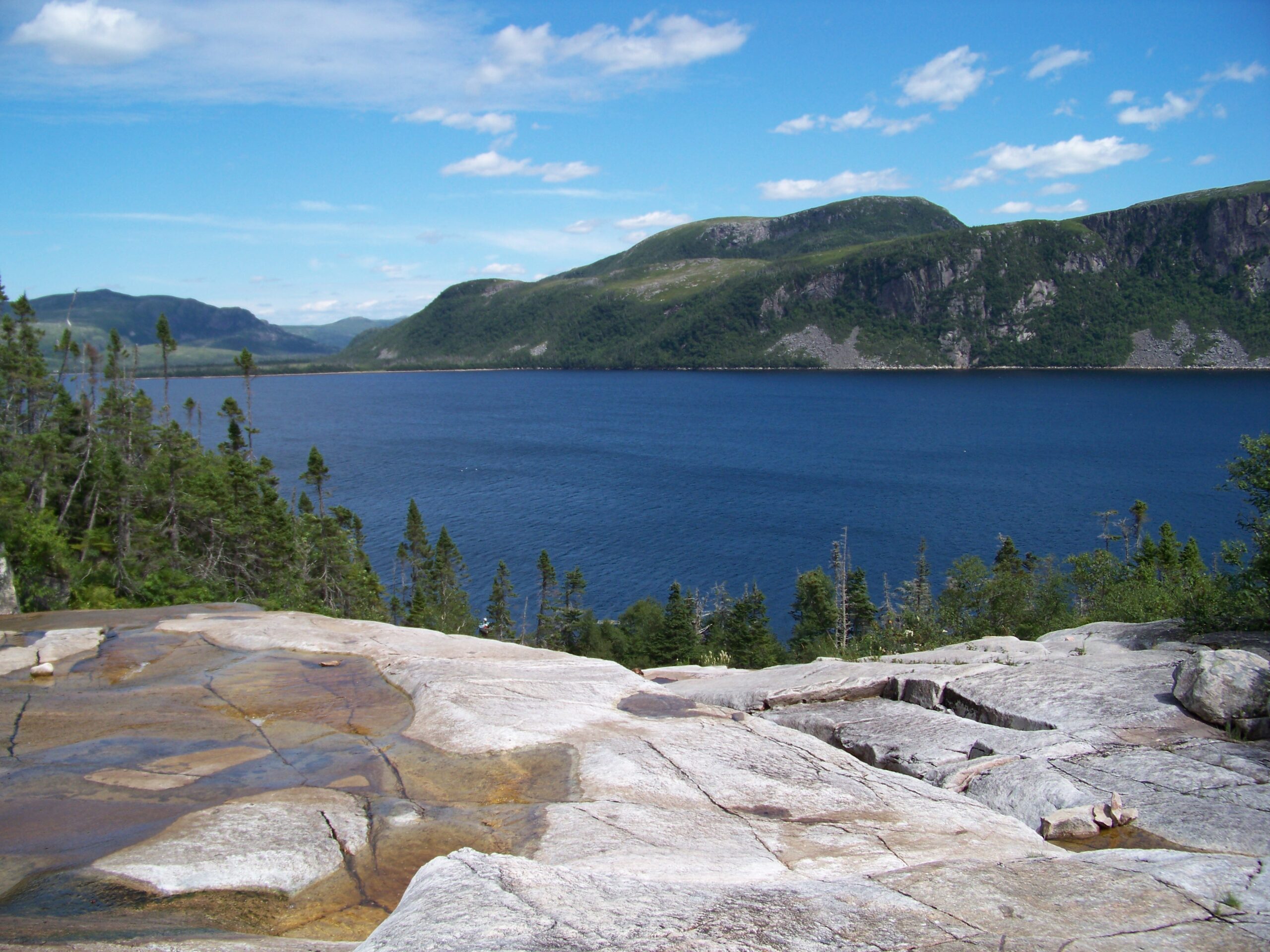 Main Gallery Display