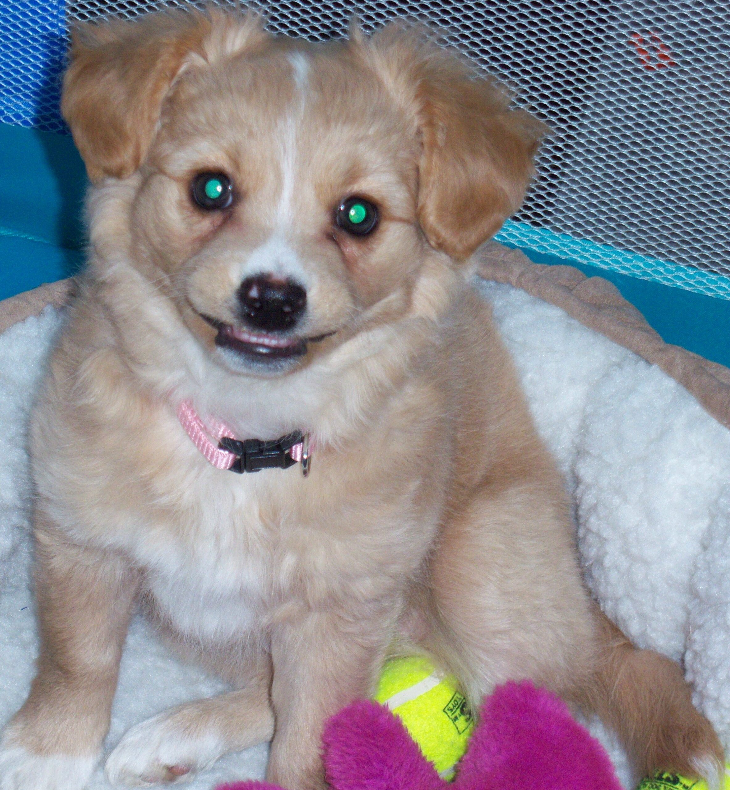 Main Gallery Display