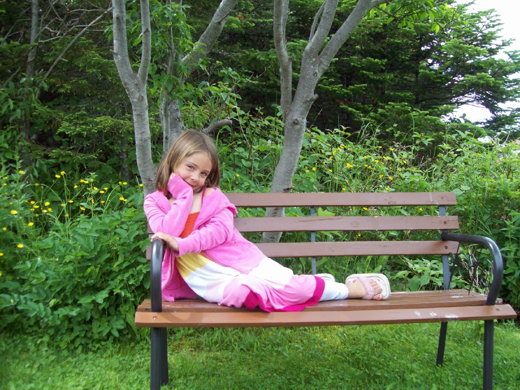 Main Gallery Display