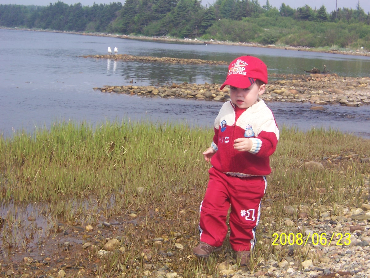 Main Gallery Display