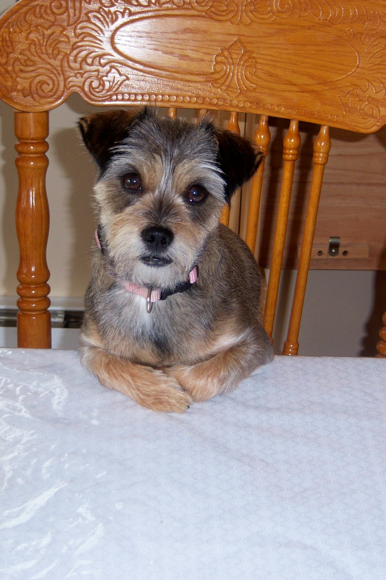 Main Gallery Display