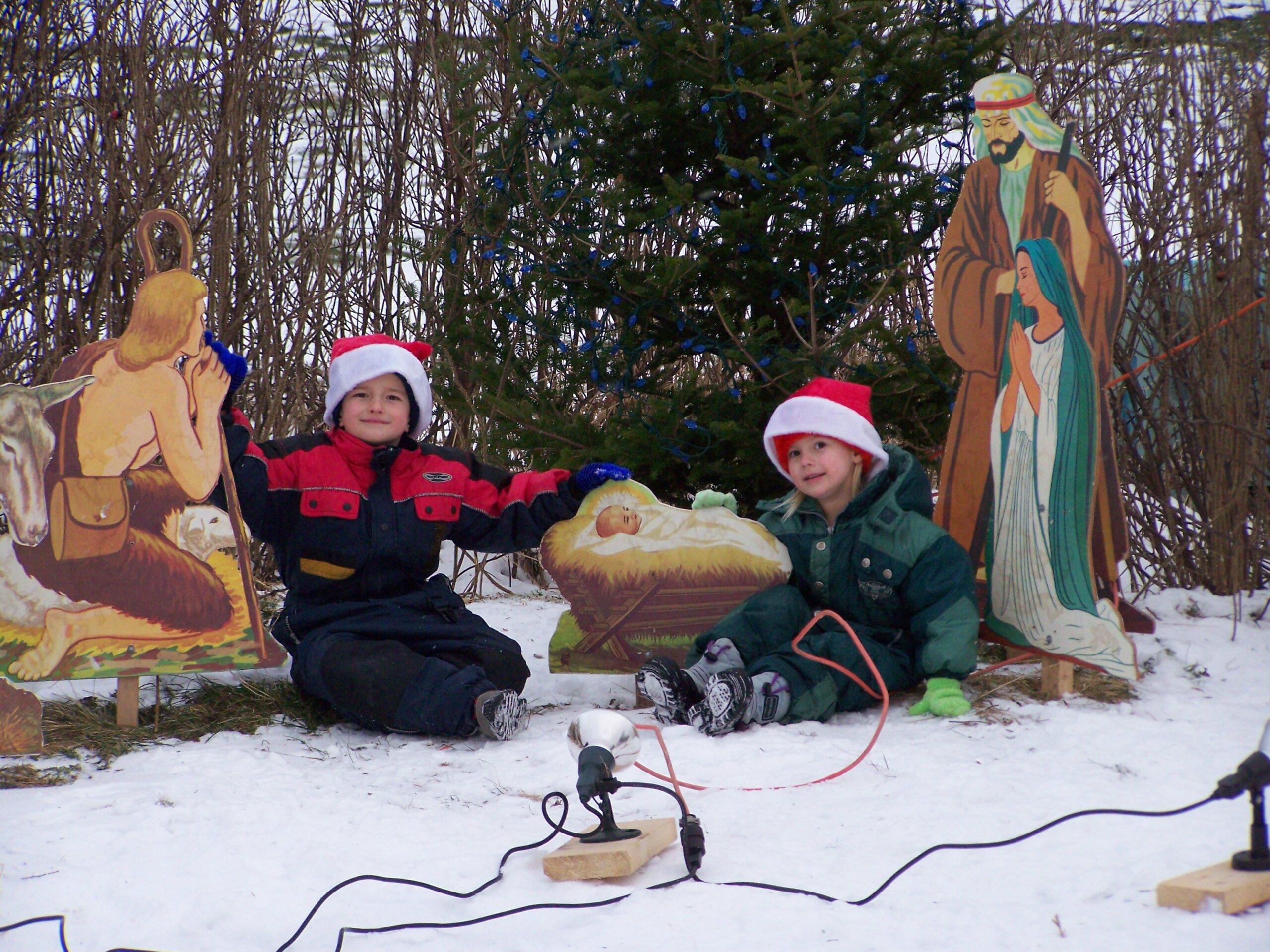 Main Gallery Display