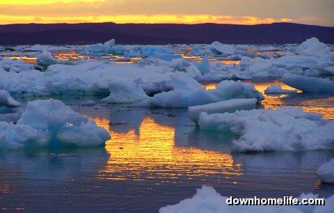 Main Gallery Display