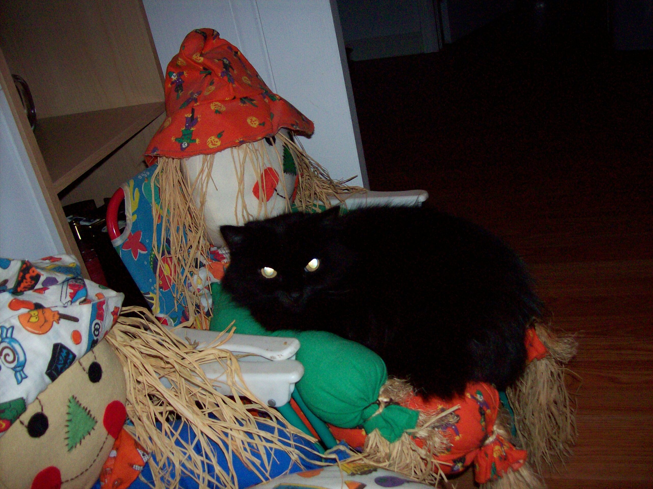 Main Gallery Display