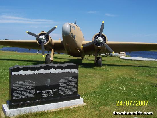 Main Gallery Display