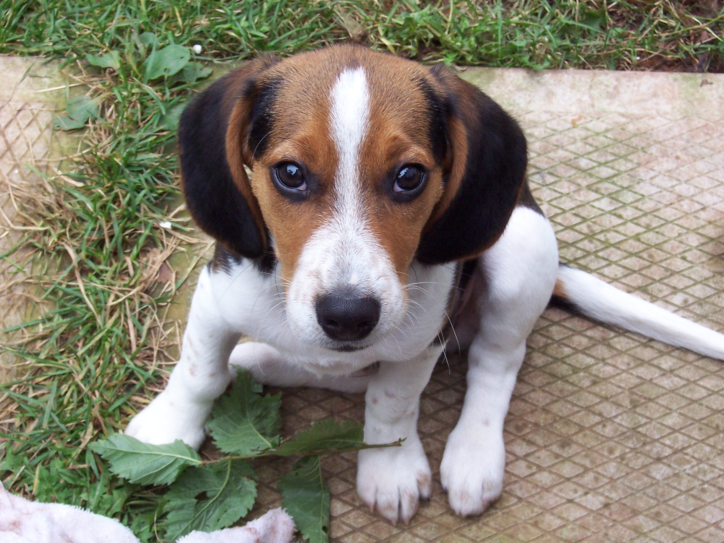 Main Gallery Display