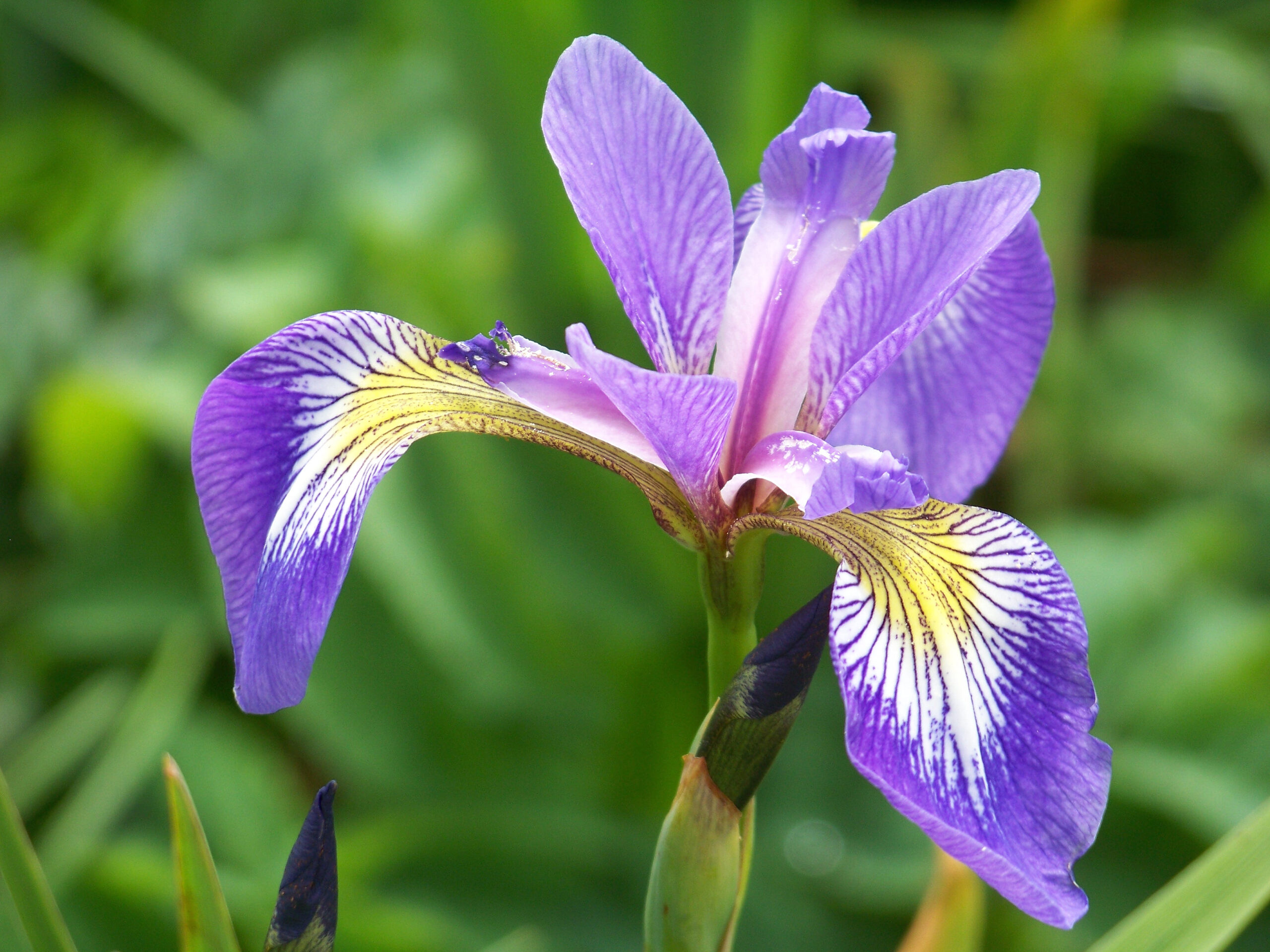 Main Gallery Display