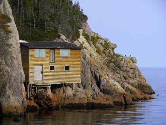 Main Gallery Display