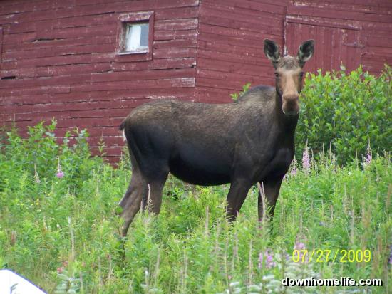 Main Gallery Display