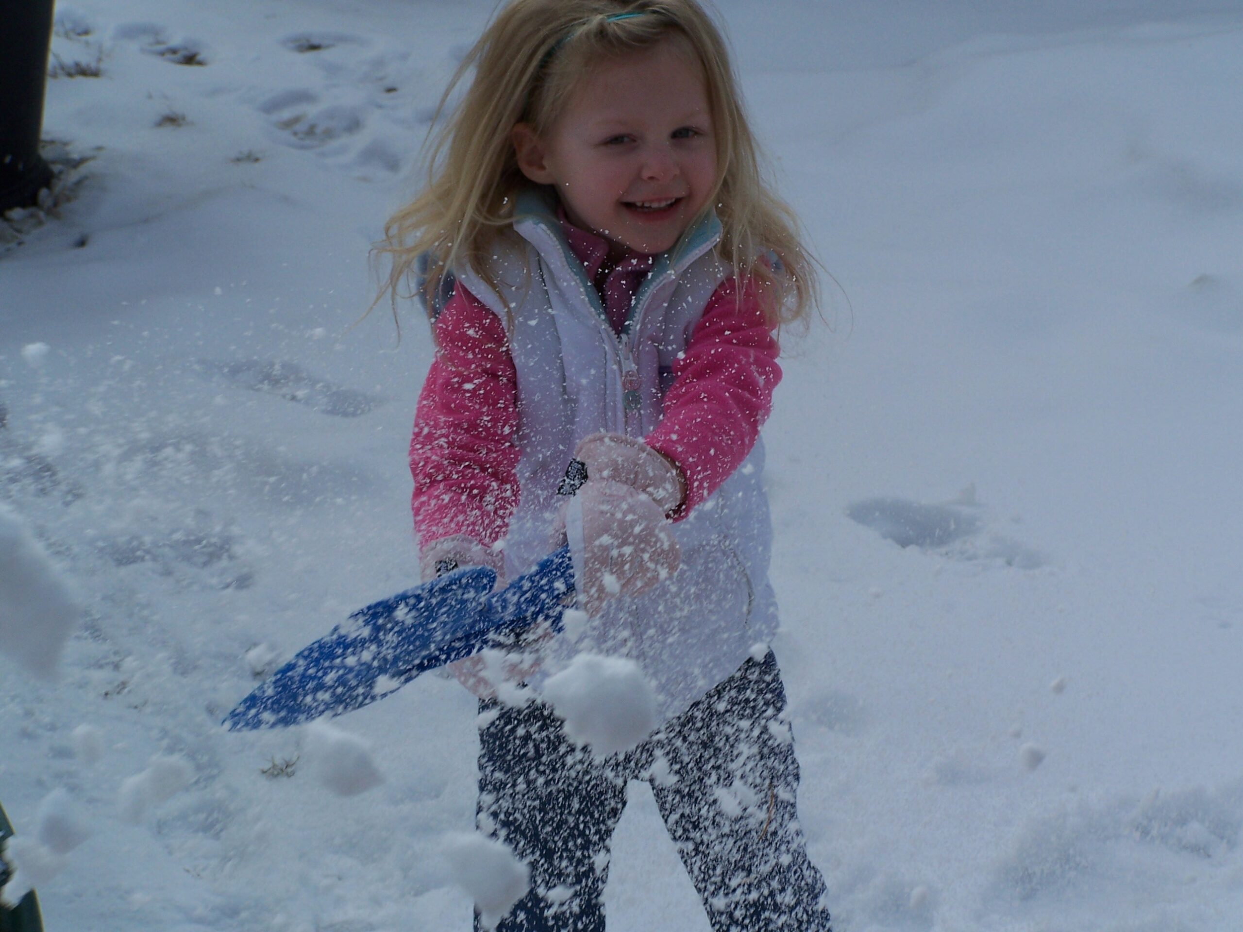 Main Gallery Display