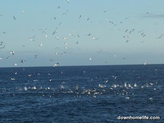 Main Gallery Display
