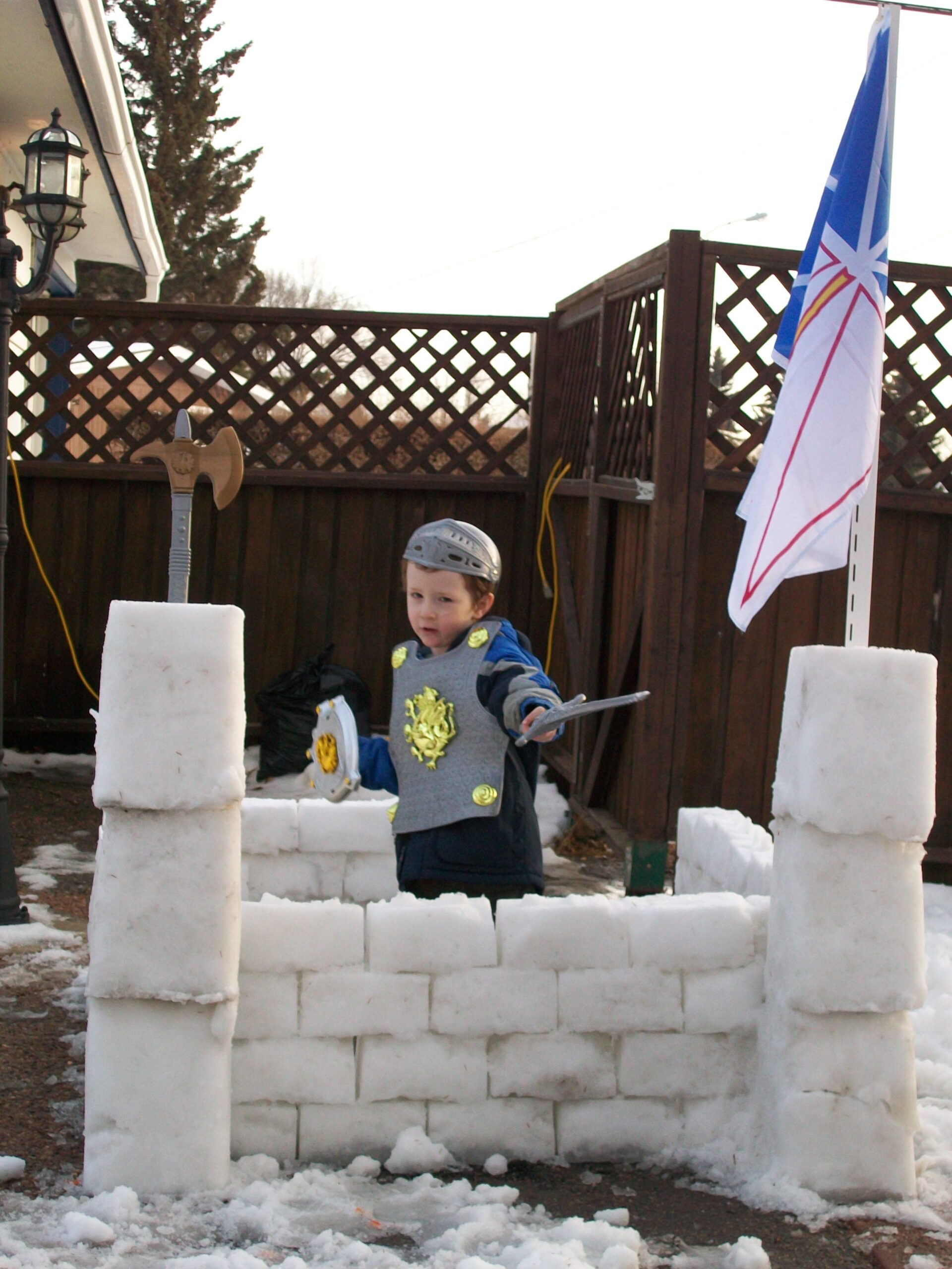 Main Gallery Display