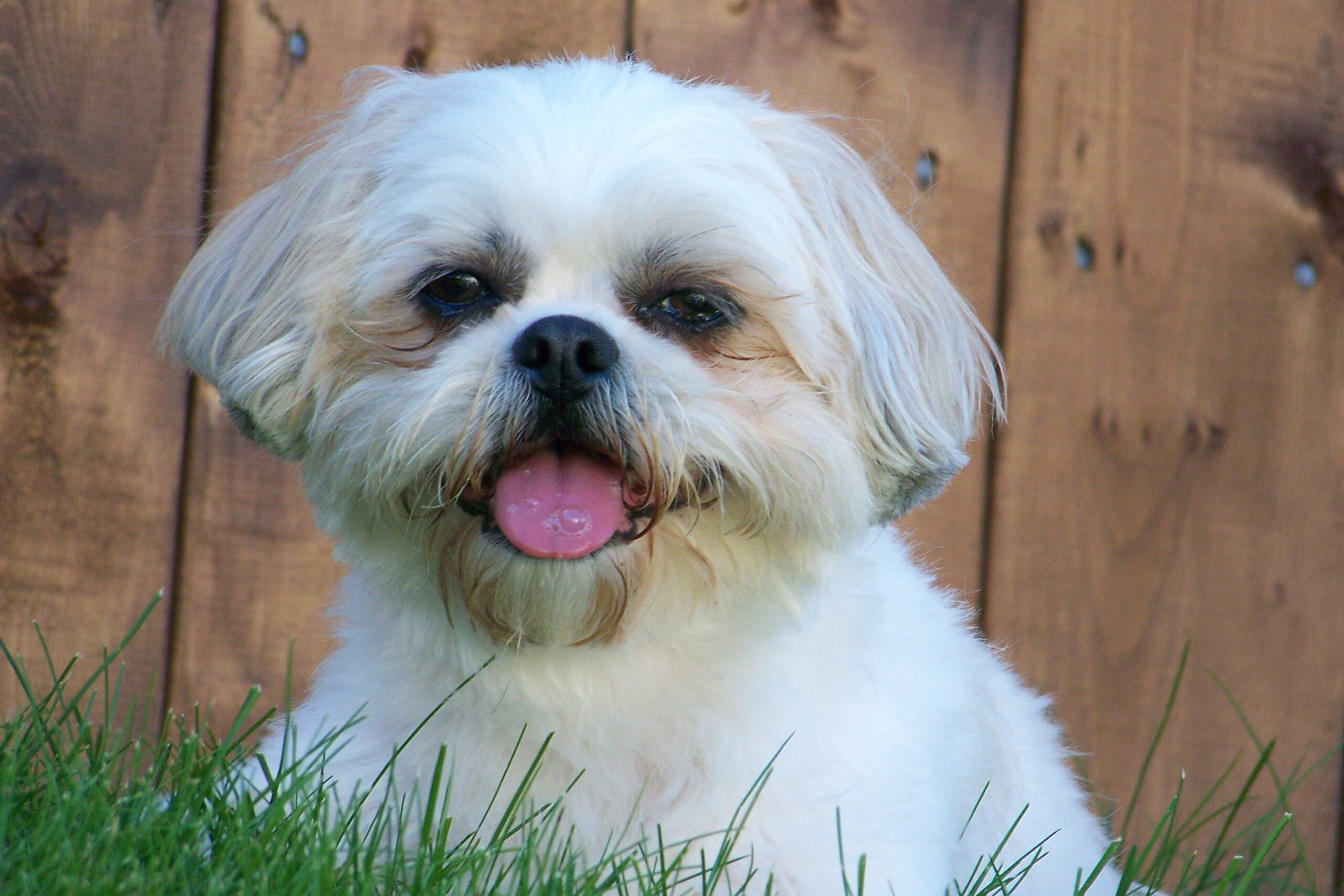 Main Gallery Display