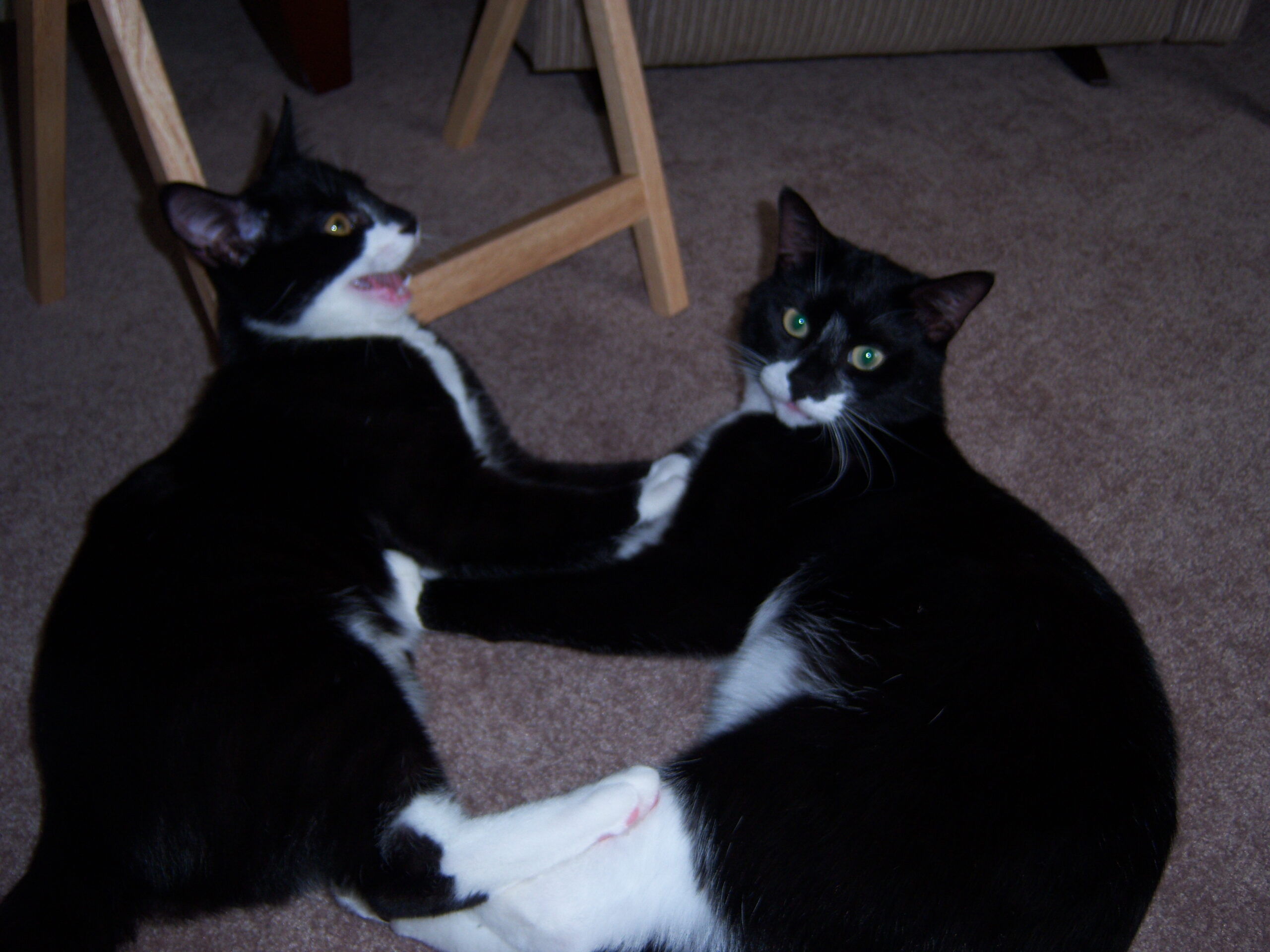 Main Gallery Display