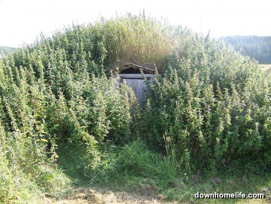 Main Gallery Display