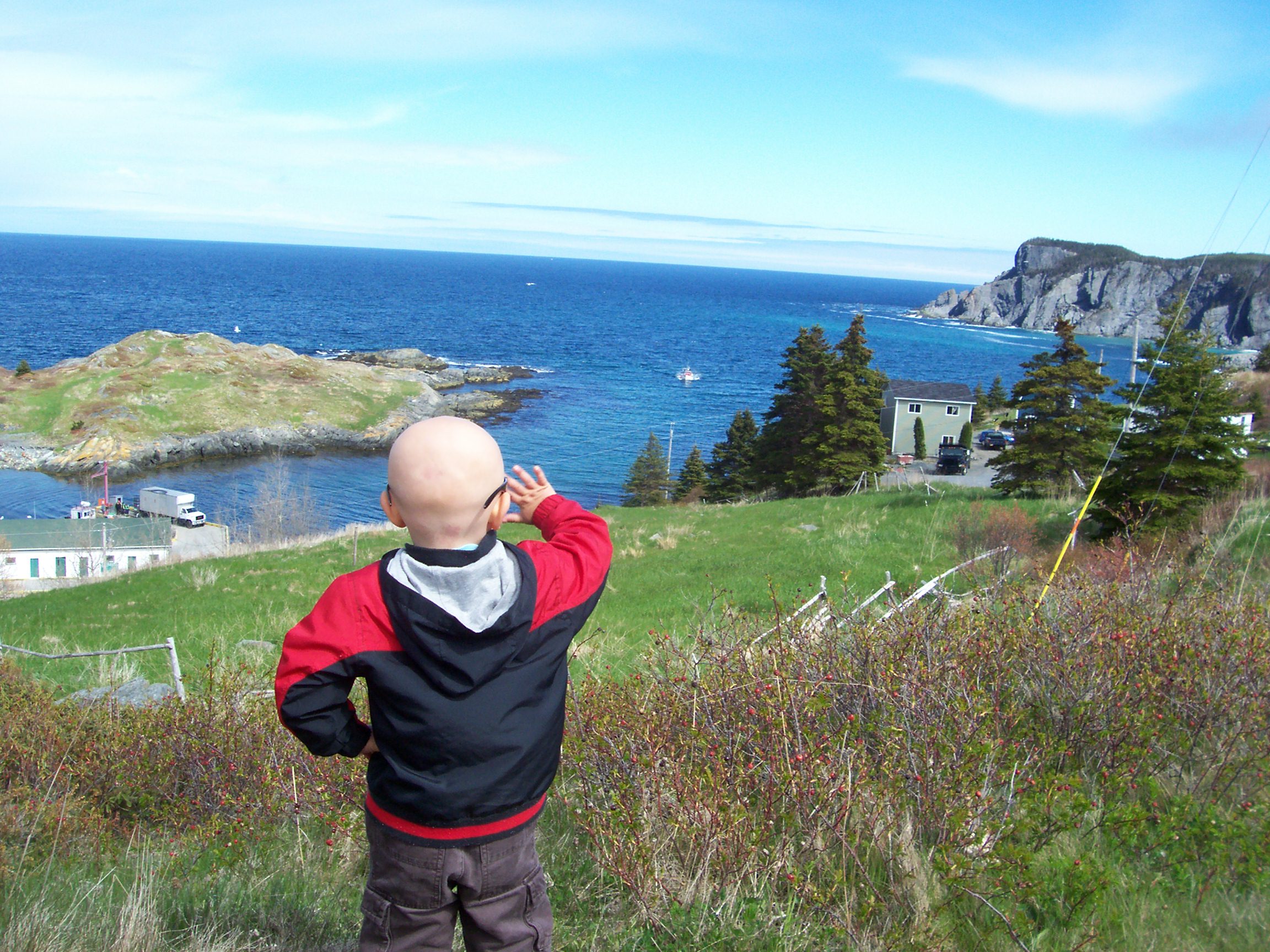 Main Gallery Display