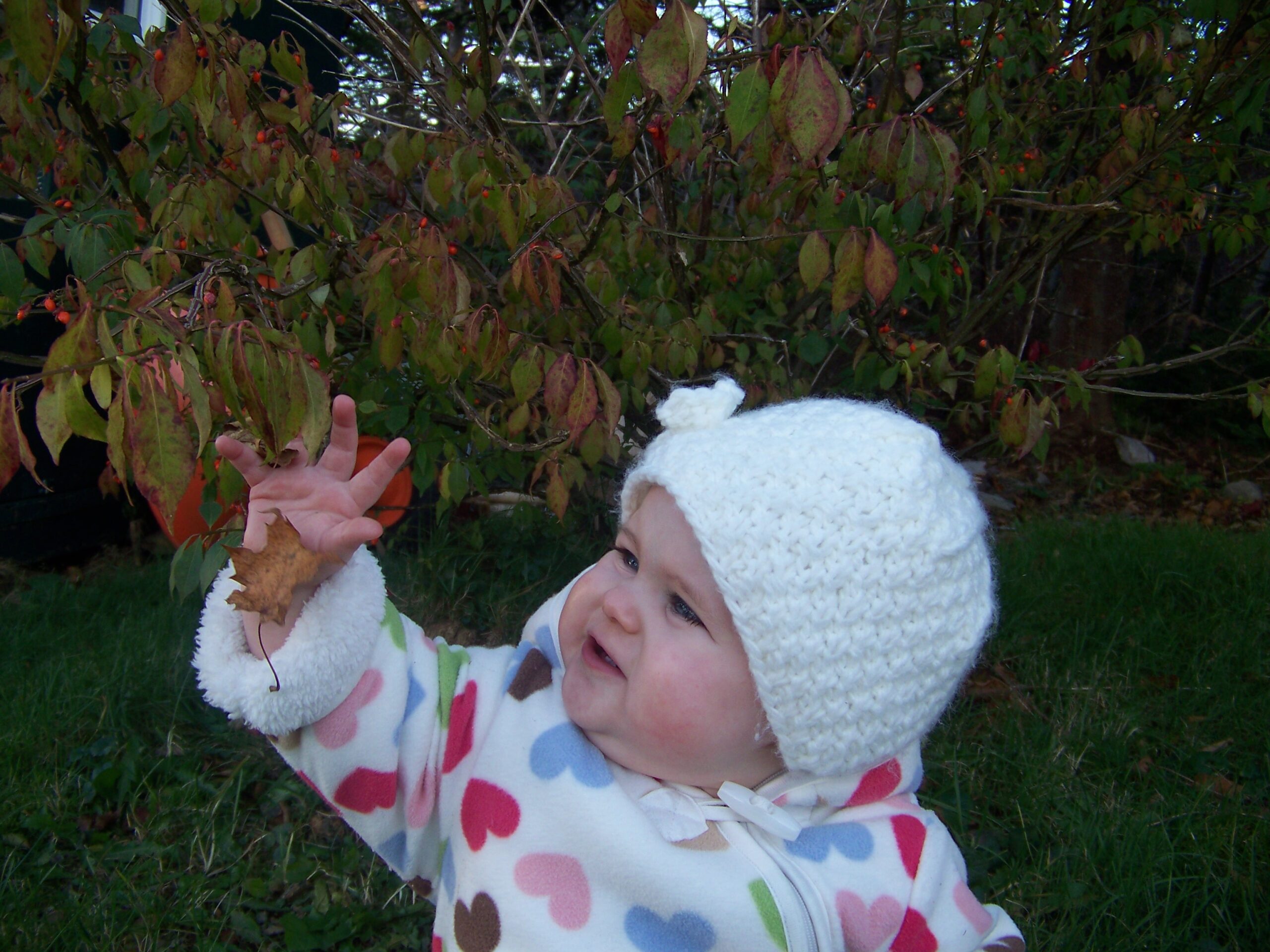 Main Gallery Display