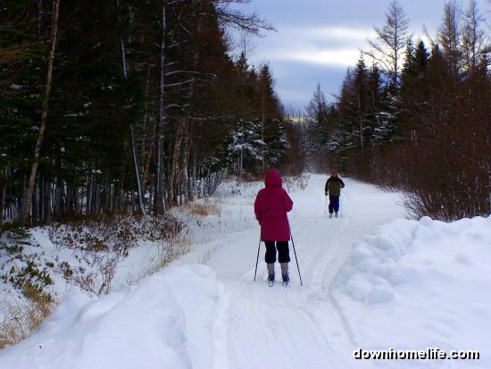 Main Gallery Display