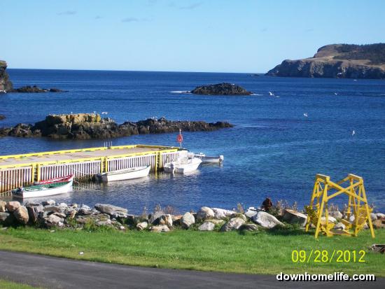 Main Gallery Display