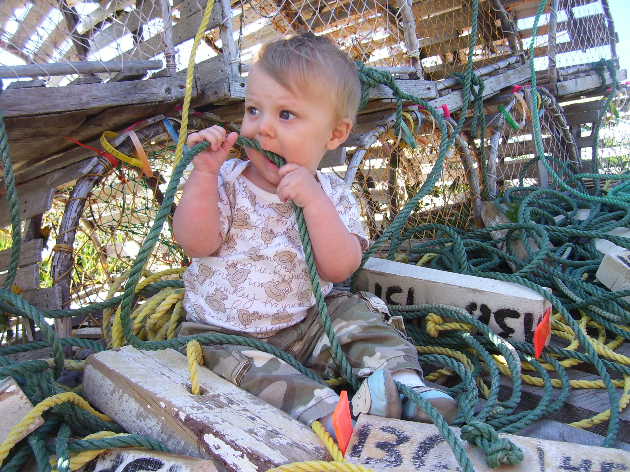 Main Gallery Display