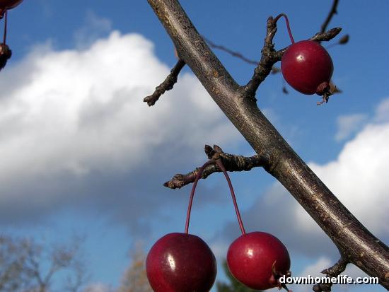 Main Gallery Display