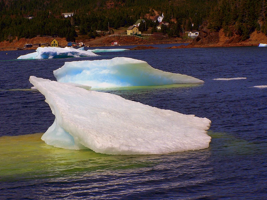 Main Gallery Display