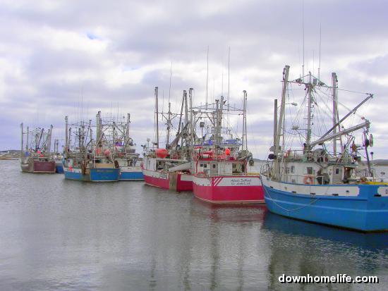 Main Gallery Display