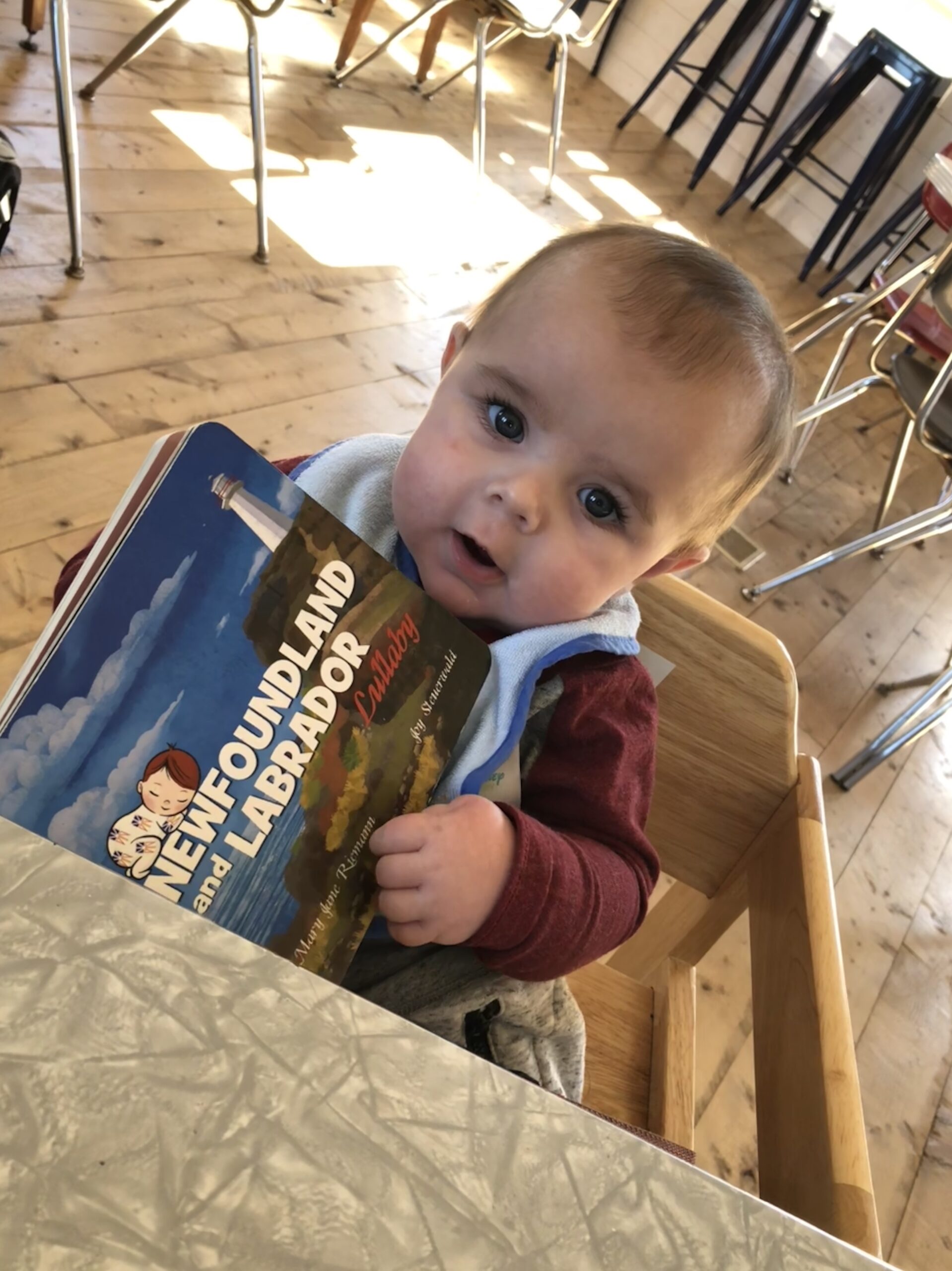 Main Gallery Display