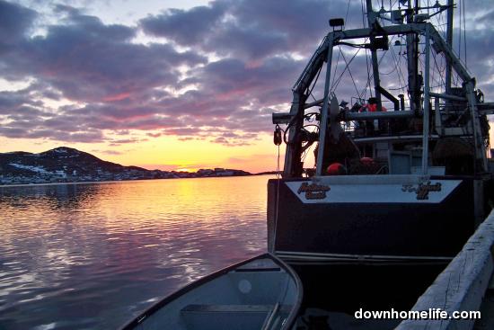Main Gallery Display