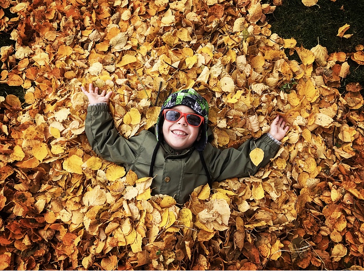 Main Gallery Display