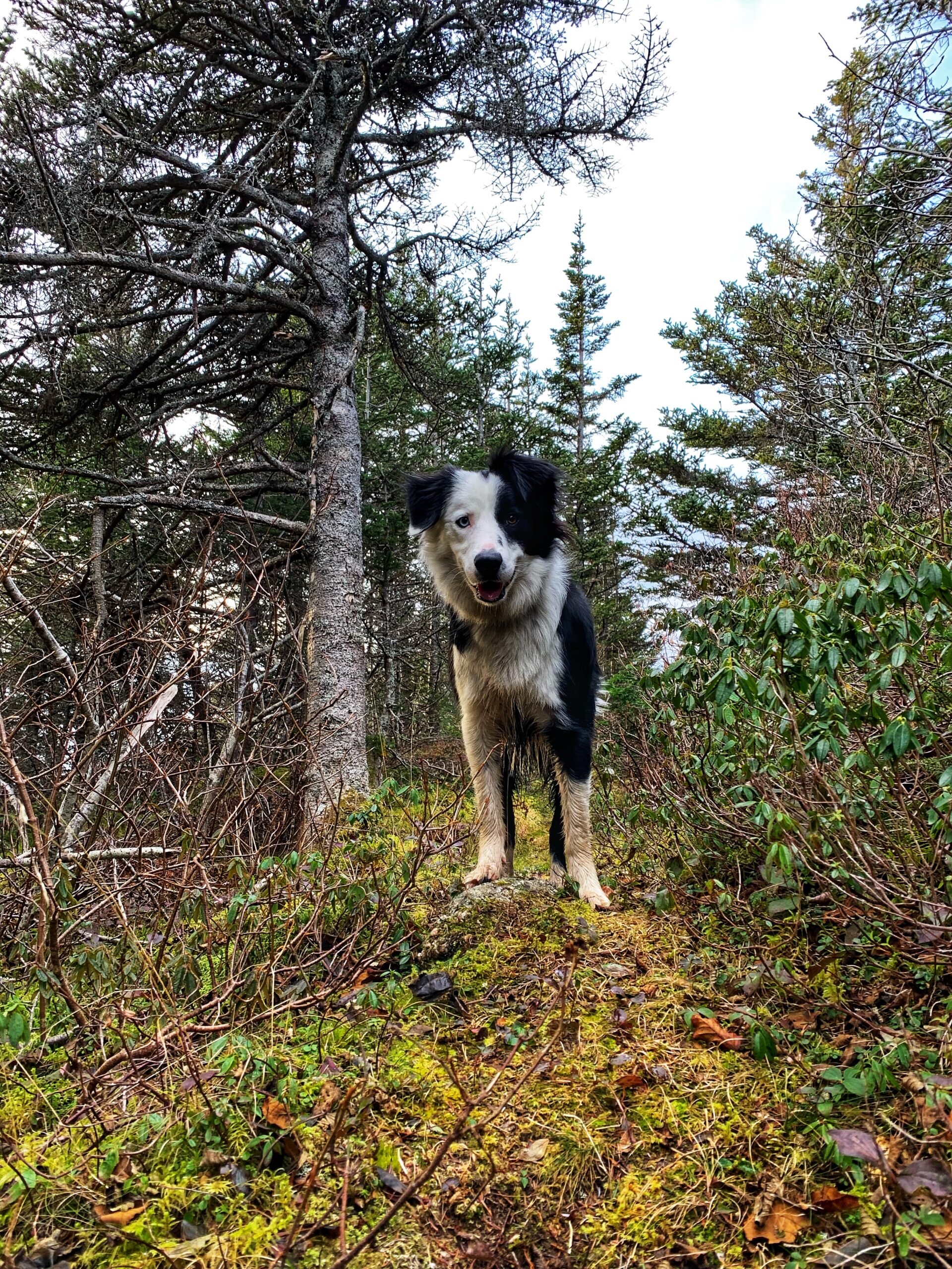 Main Gallery Display