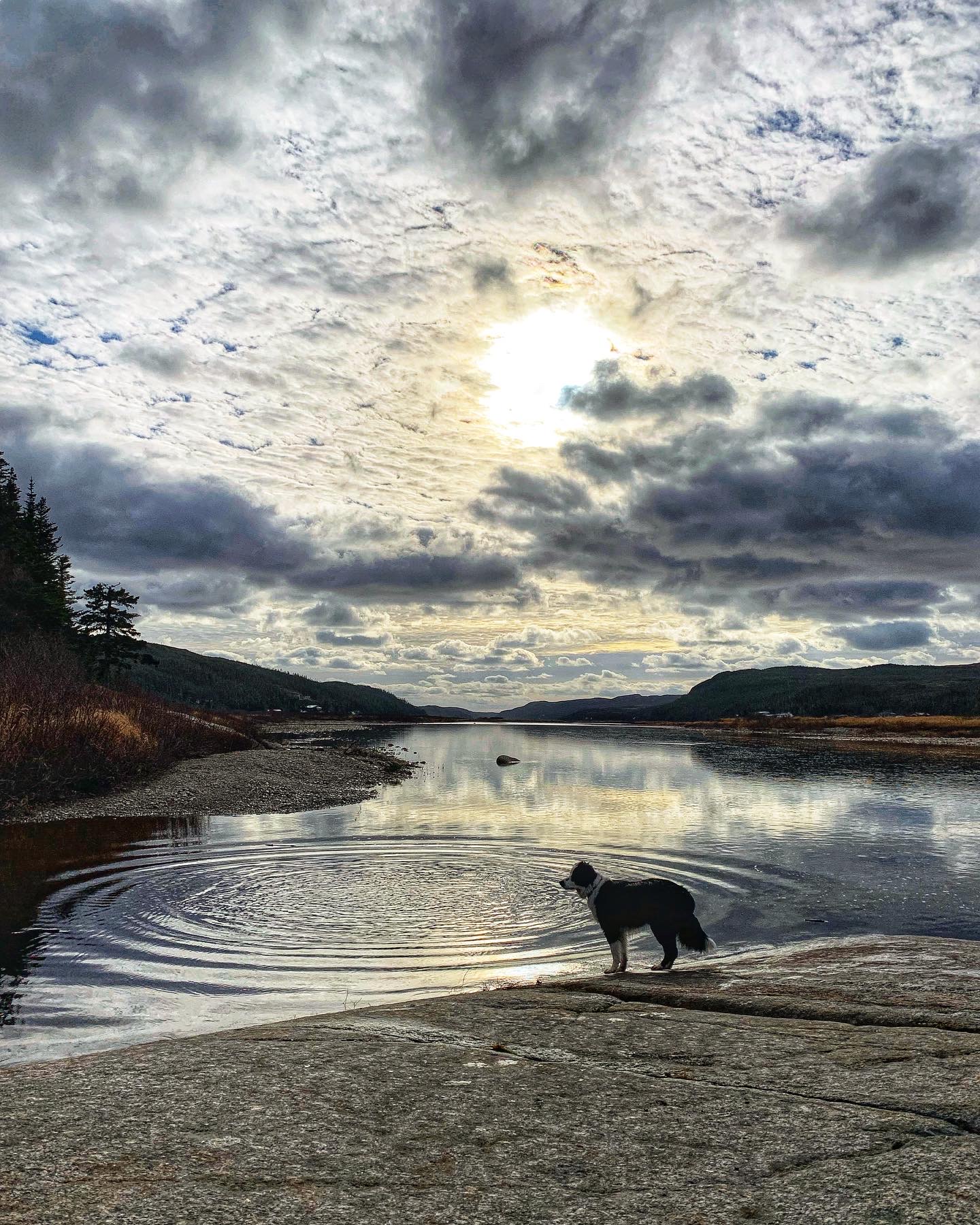 Main Gallery Display
