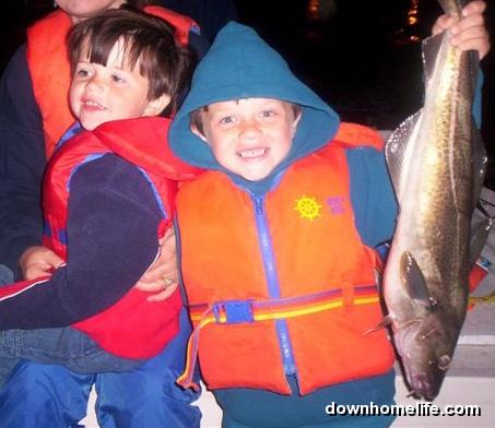 Main Gallery Display