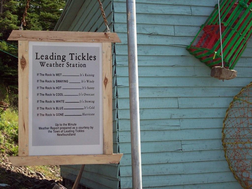 Main Gallery Display