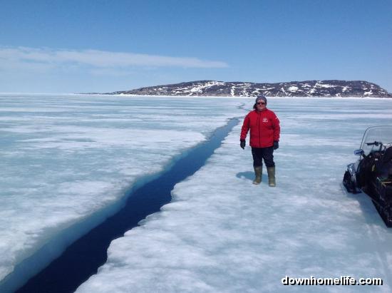 Main Gallery Display