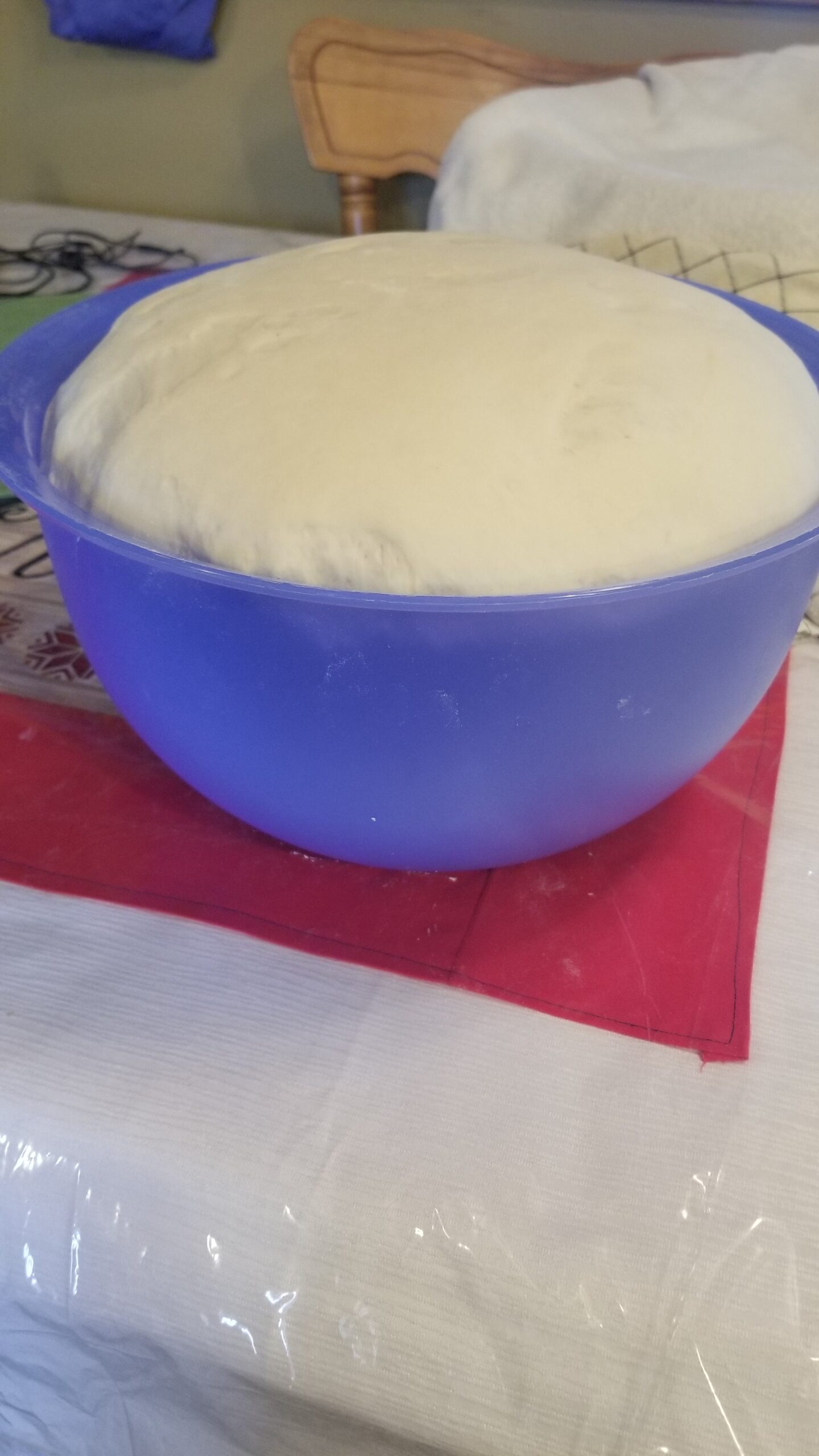 Main Gallery Display