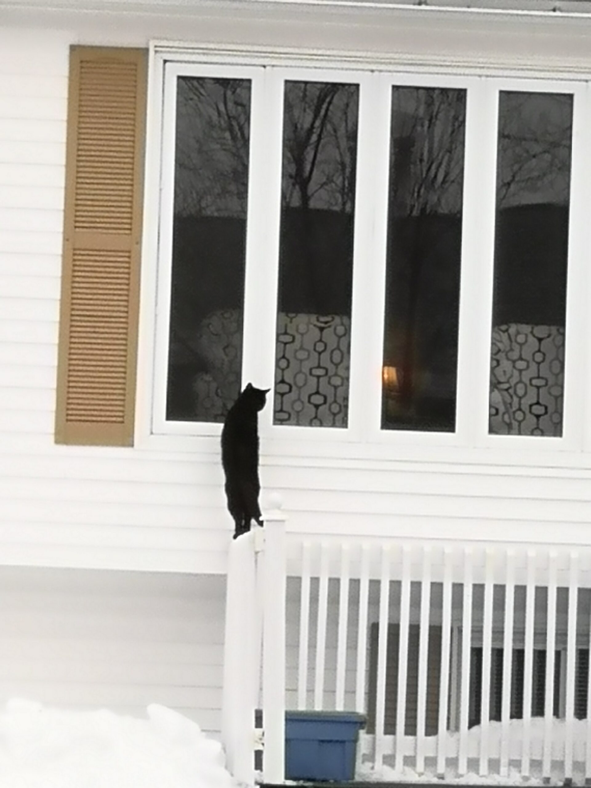 Main Gallery Display