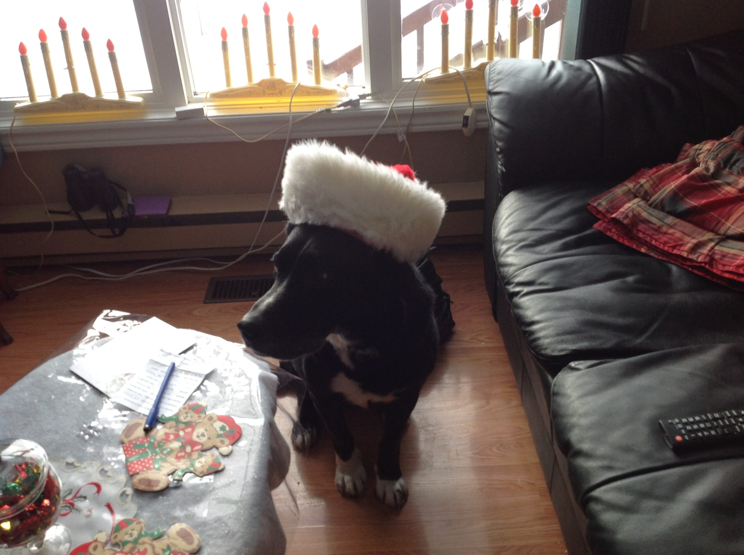 Main Gallery Display