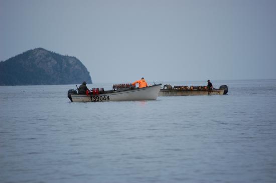 Main Gallery Display