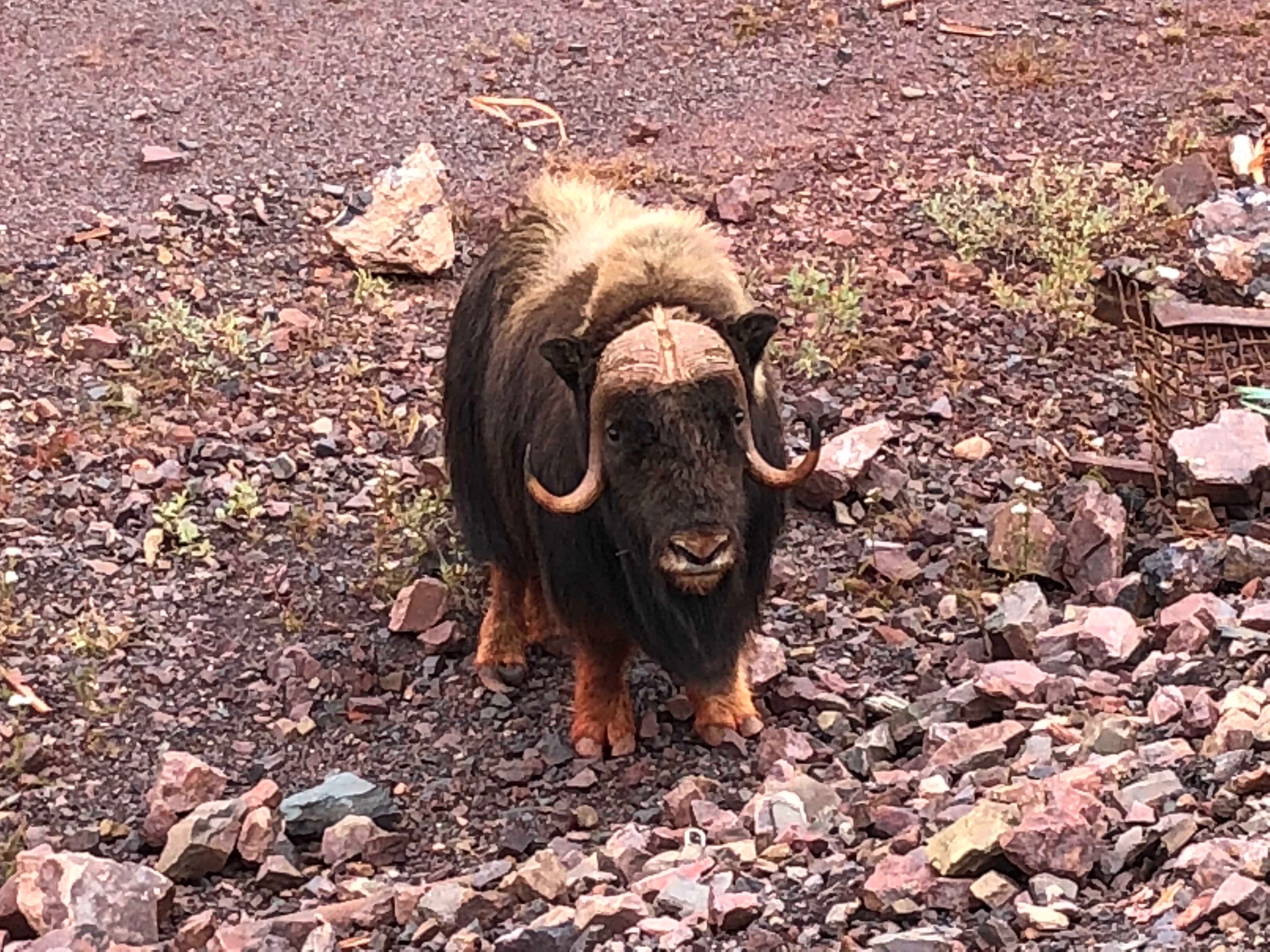 Main Gallery Display