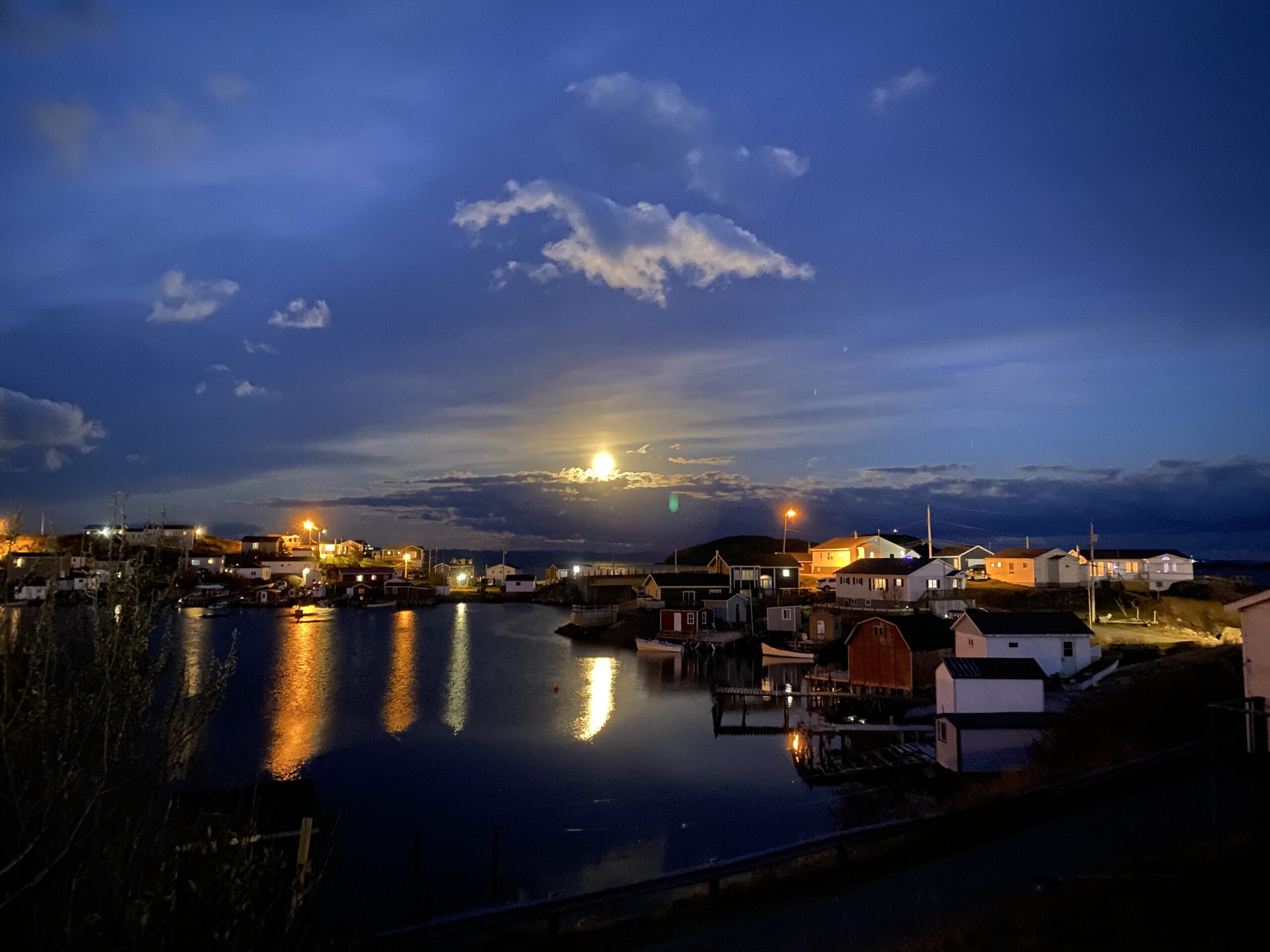 Main Gallery Display