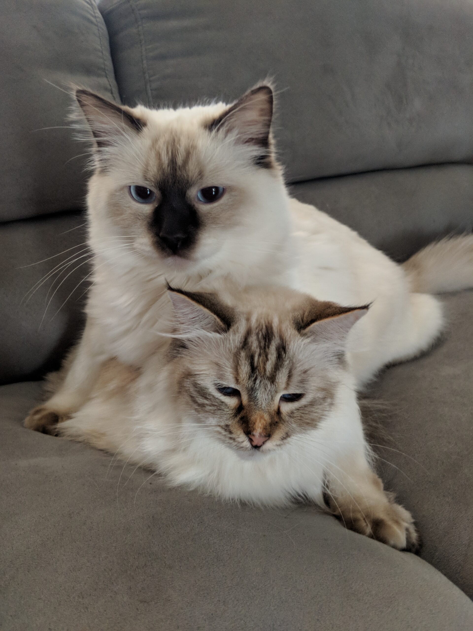 Main Gallery Display