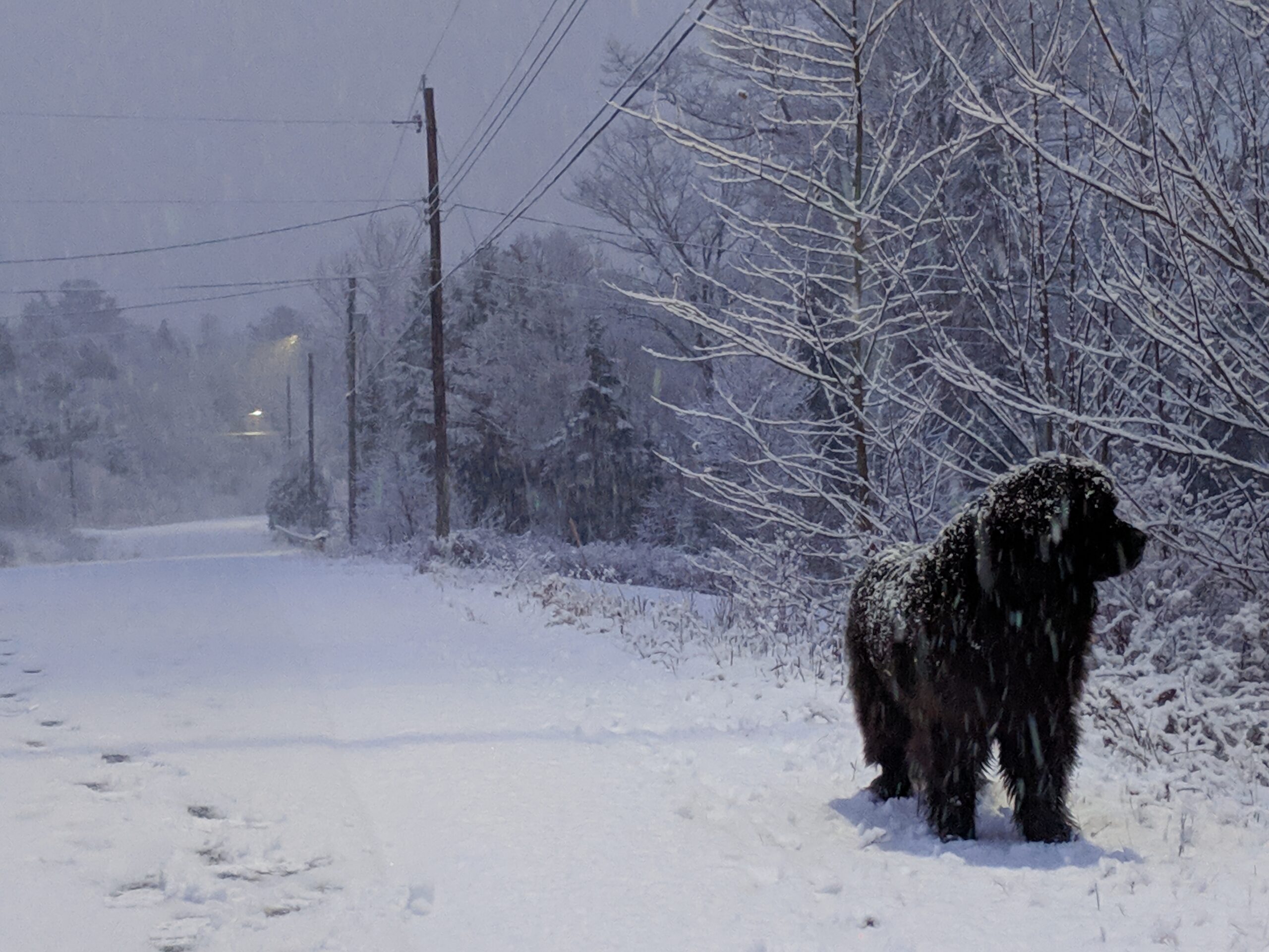 Main Gallery Display