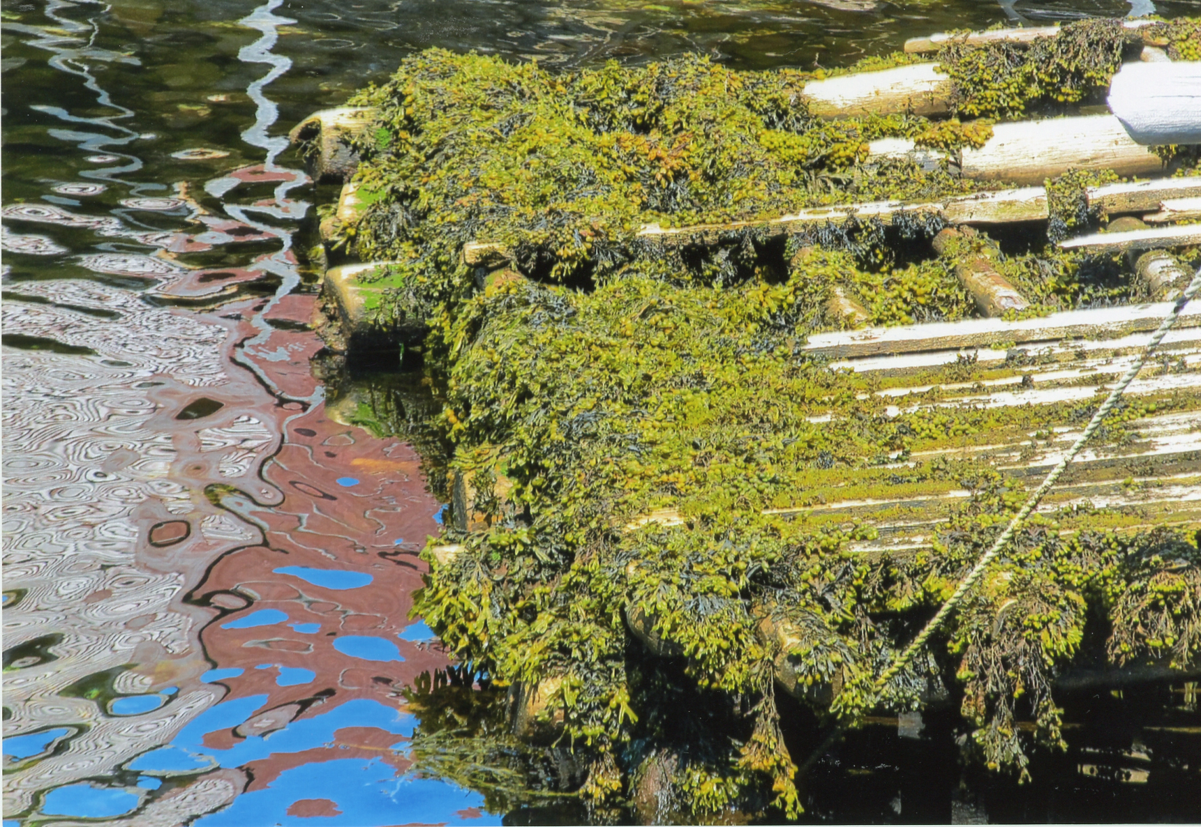 Main Gallery Display