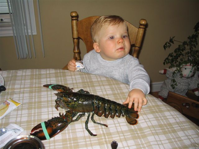 Main Gallery Display