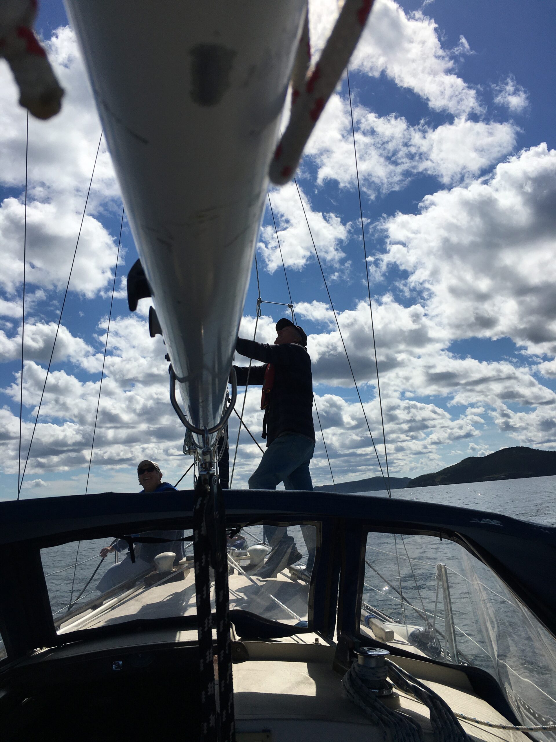 Main Gallery Display