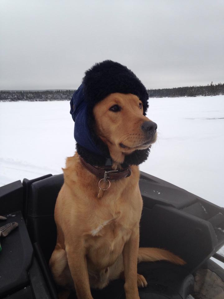 Main Gallery Display
