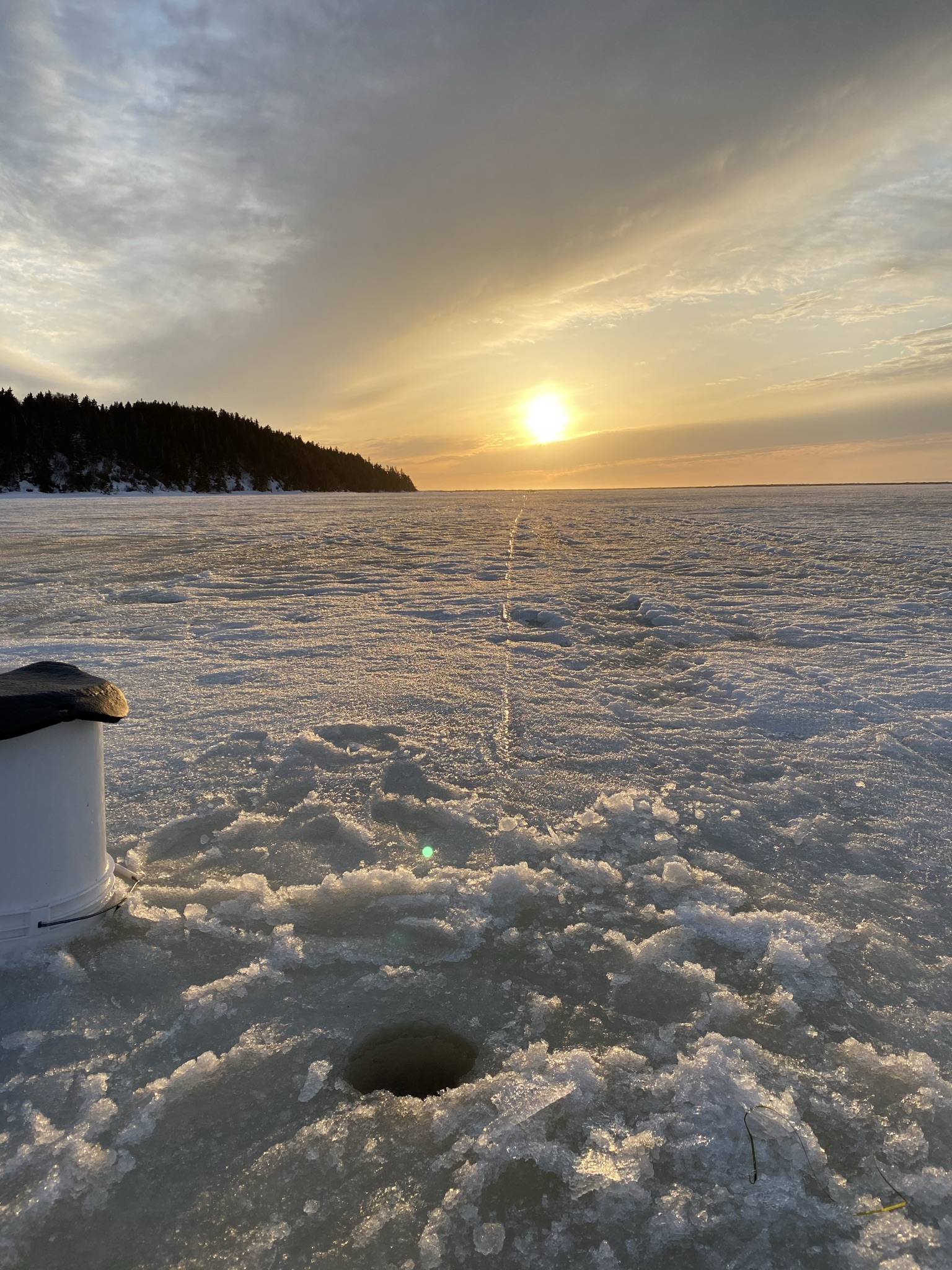 Main Gallery Display